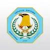 بمساعدة العراق.. تنفيذ عملية امنية في الامارات 
