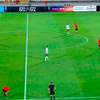ضيف غير متوقع يوقف مباراة لكرة القدم 