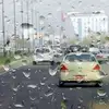 محافظة عراقية تحذر من امطار غزيرة ومبكرة 