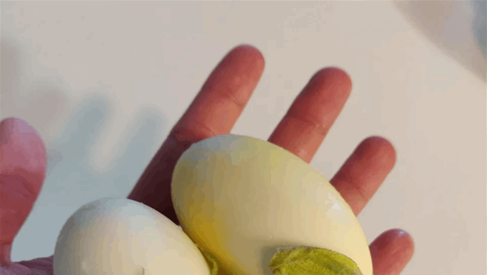 صور مدهشة من &quot;خيرات الطبيعة&quot; لم نرَ مثلها من قبل!