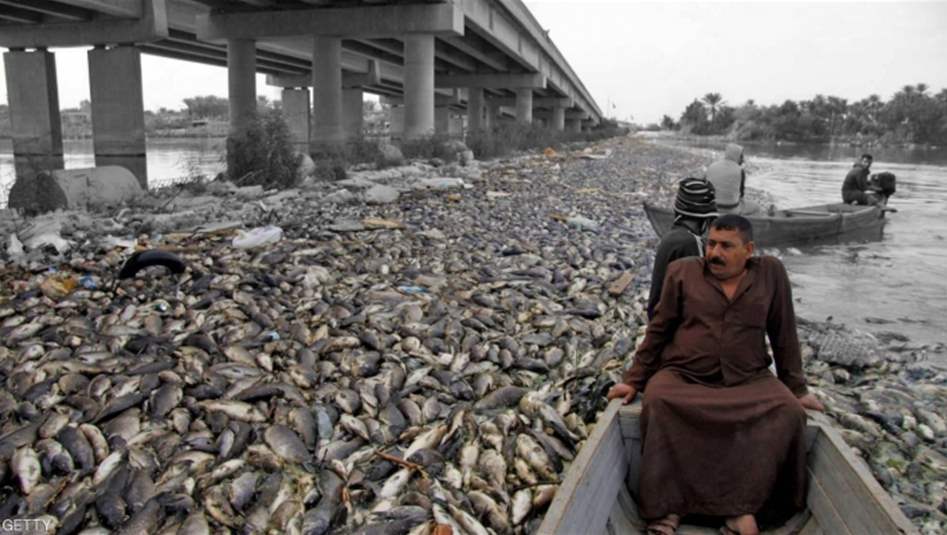 نفوق الأسماك يهدد الثروة الحيوانية.. كوارث بيئية وآثار اقتصادية &quot;موجعة&quot; 
