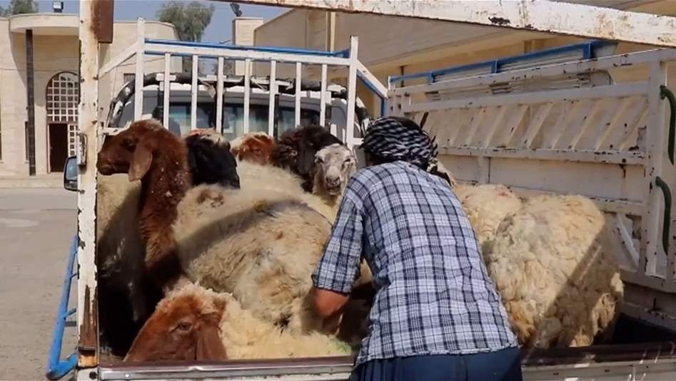 اجراءات احترازية في الموصل عقب وفاة شخص بالحمى النزفية
