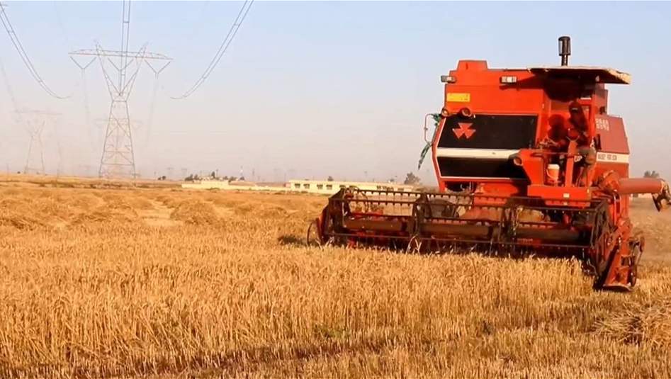 صلاح الدين .. مطالبات بزيادة الدعم الحكومي للخطة الزراعية
