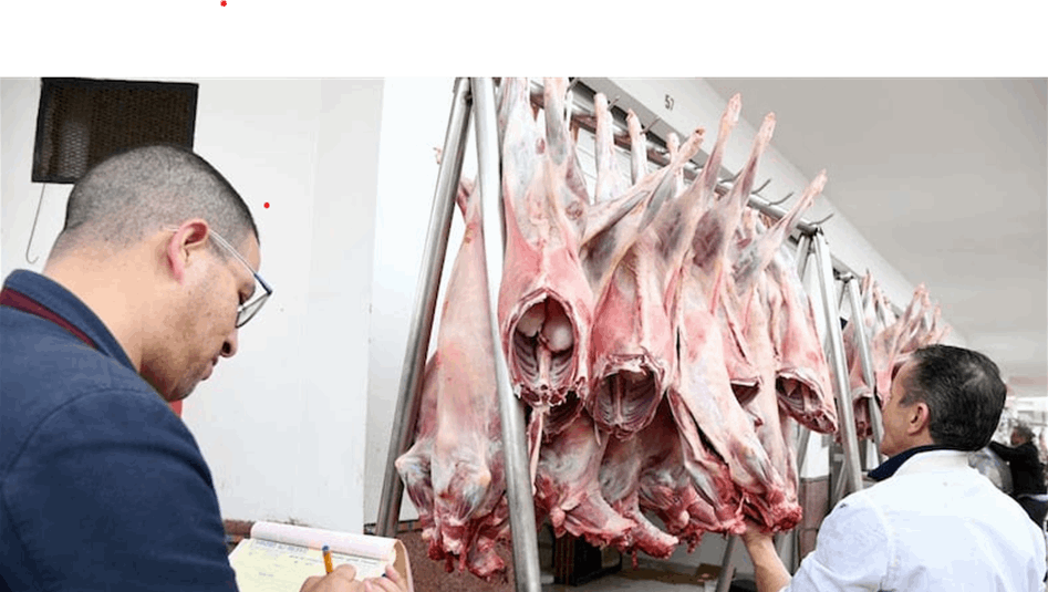تعزيز الاجراءات الرقابية للسيطرة على اسعار اللحوم