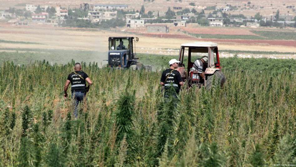 بعد الشحنة العراقية الكبيرة.. 4 أسباب وراء عدم توقف الكبتاغون رغم سقوط نظام الأسد