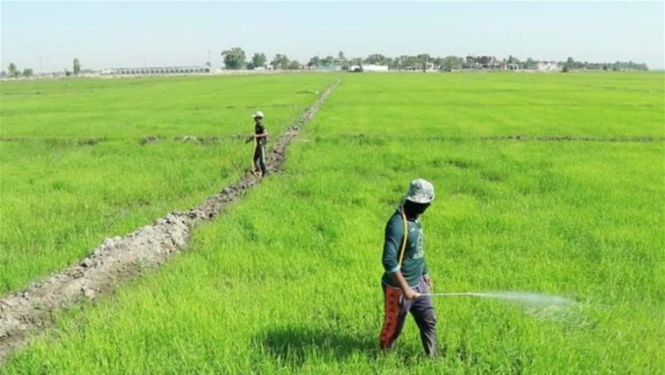 وزارة الزراعة توافق على تجديد عقود فلاحي بابل