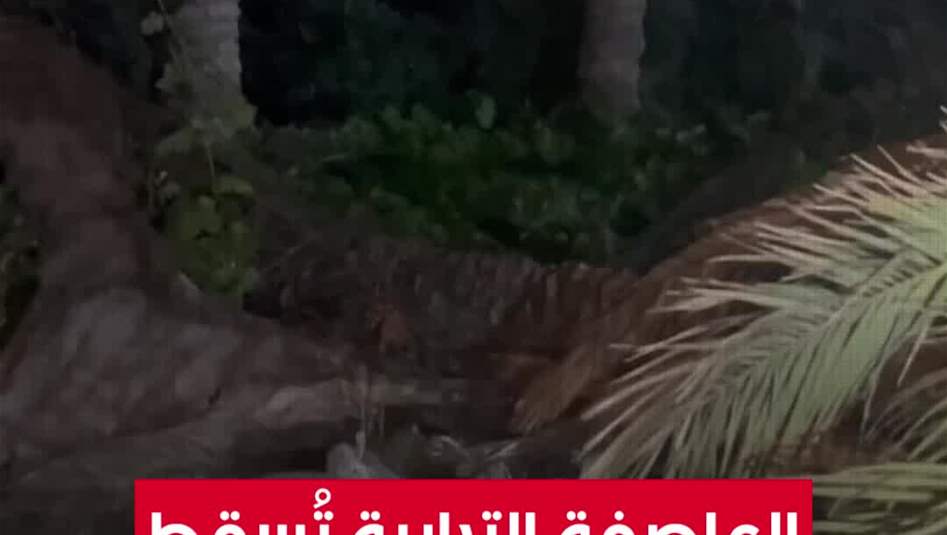 &quot;العاصفة الترابية&quot; تُسقط النخيل في الكوت (فيديو)