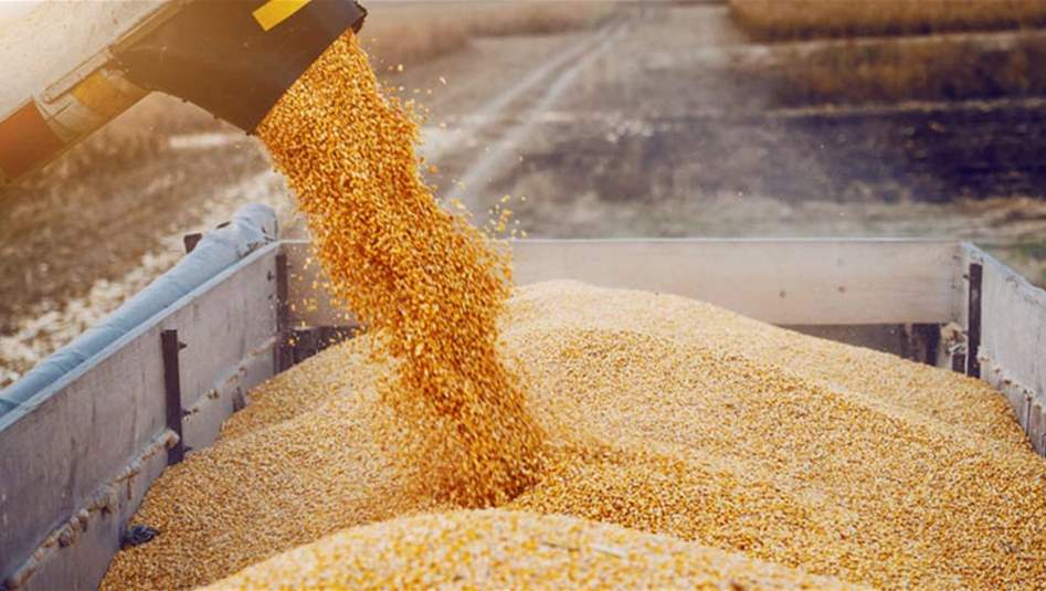 إقليم كردستان: سنسوق 400 ألف طن من القمح لبغداد