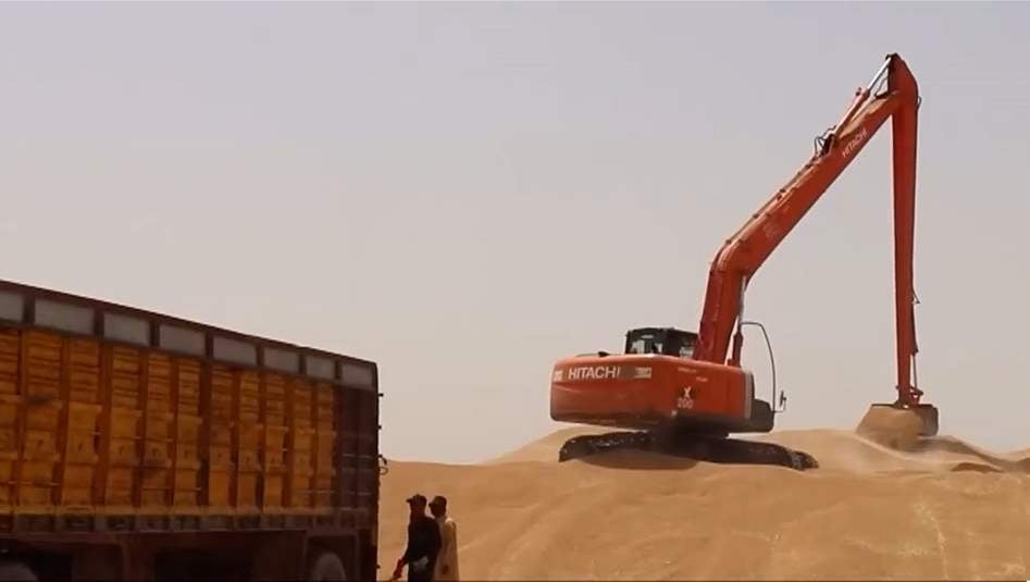 القمح في العراق: مزارعون عالقون بين المحاصيل المتراكمة والخسائر المالية