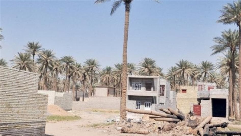 تفاصيل جديدة بشأن تمليك الأراضي الزراعية لساكنيها.. اليكم التعليمات