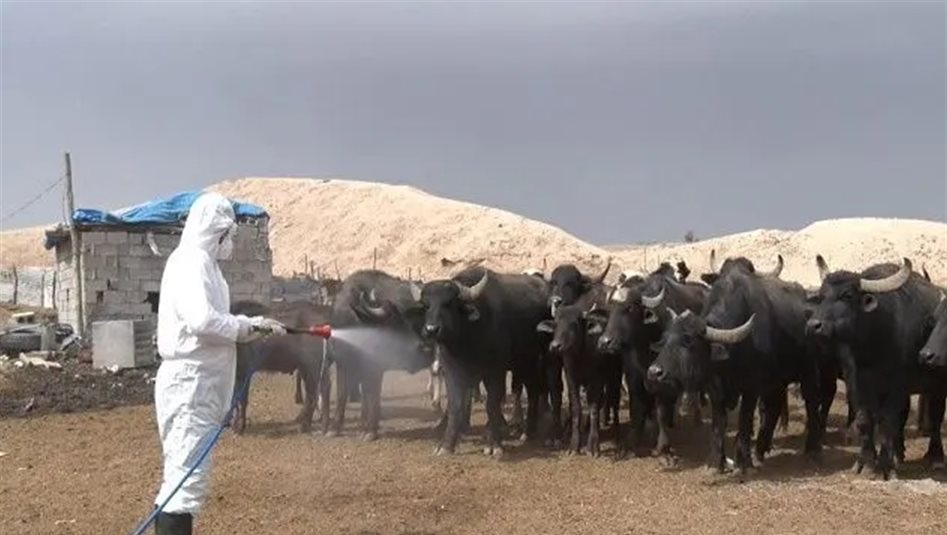 Doc T 531729 638868141170399129