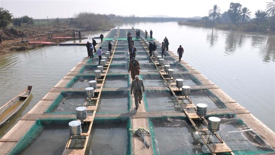 الموارد المائية: إزالة 90% من بحيرات الأسماك المتجاوزة في الرضوانية