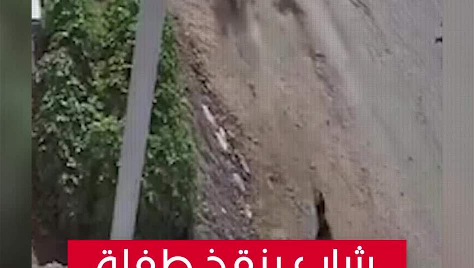 شاب ينقذ طقلة من هجوم كلاب سائبة 