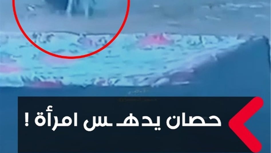 حادث غريب.. حصان يدهس امرأة في النجف