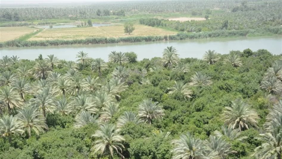 تعرف على شروط تحويل الاراضي الزراعية الى سكنية وتمليكها للمواطنين