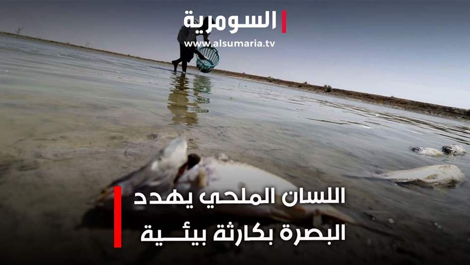 اللسان الملحي: كارثة بيئية تُهدّد البصرة! 