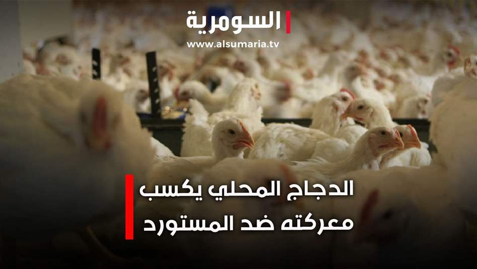 الدجاج المحلي يكسب معركته ضد المستورد