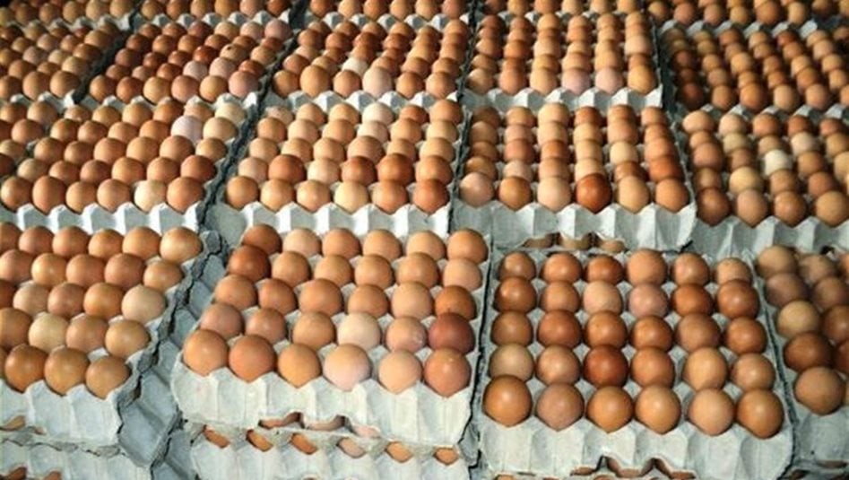 العراق يمنع استيراد 5 منتجات غذائية