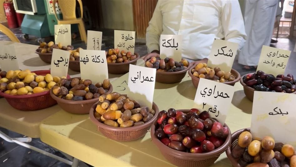 معرض للتمور في بغداد غداً