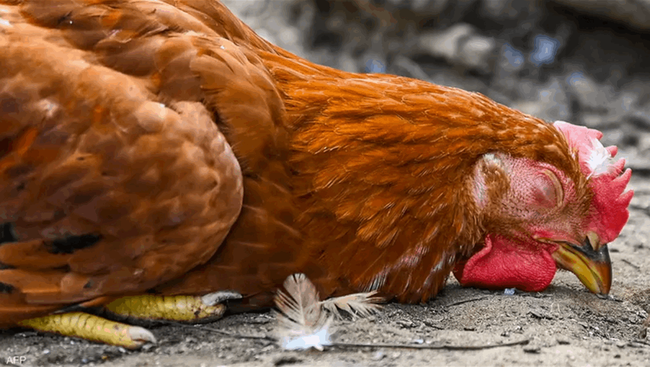 اعلان حالة الطوارئ في فرنسا بسبب تفشي فيروس