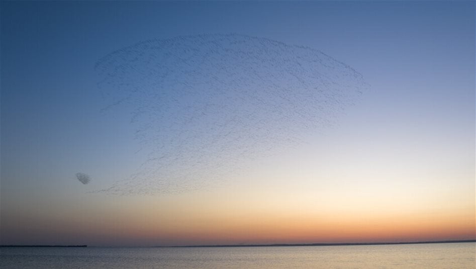 بوتين يحذر من أزمة مياه عالمية..  هذه الدول غنية؟