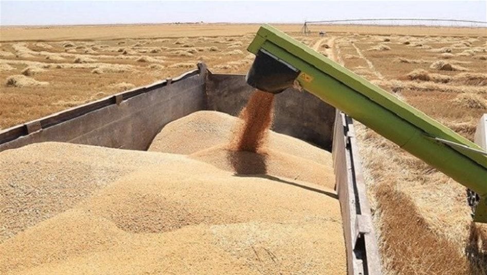 ايران تريد استيراد حنطة العراق المخزونة وبغداد &quot;تتريث&quot;: الجفاف قد لا يوفر حصادا جيدا هذا العام