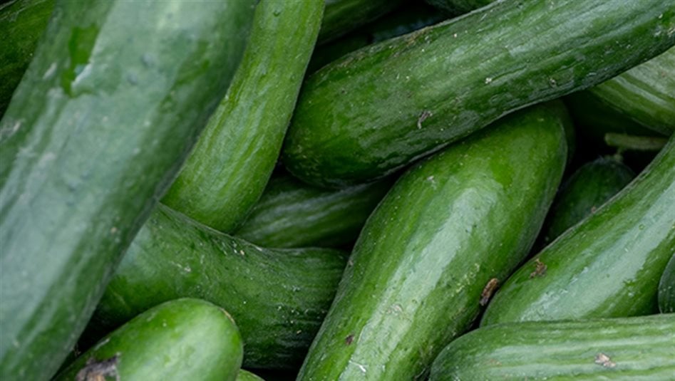 بالفيديو.. فضيحة في تركيا والسبب "الخيار"