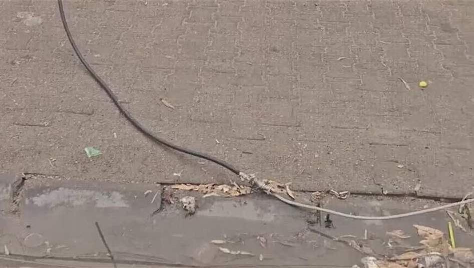 تحذي عاجل من مواطن للحكومة