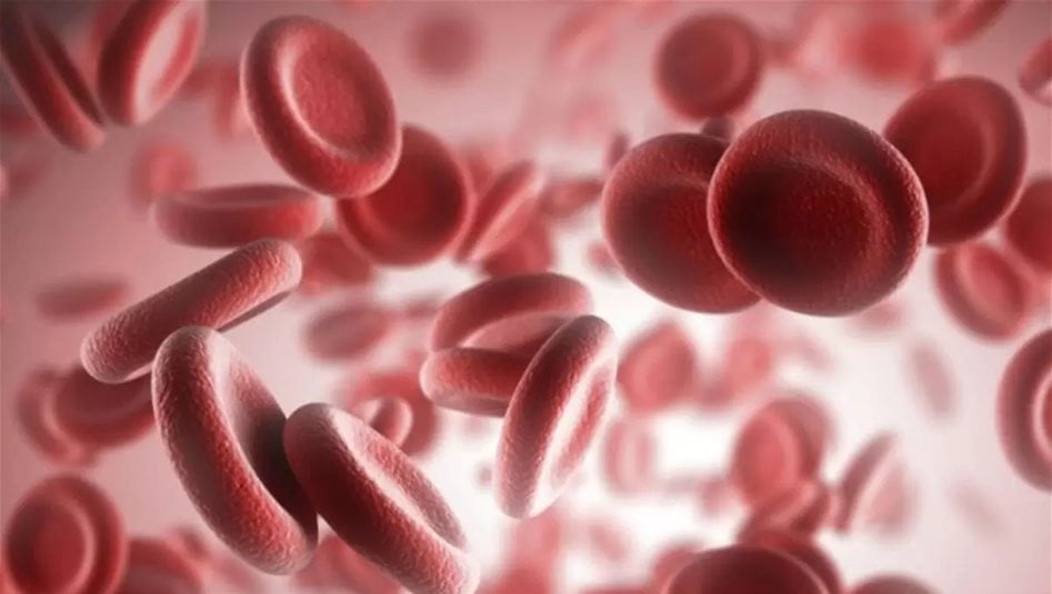 آلية جديدة تحفز المناعة لعلاج سرطان البنكرياس ذاتياً 