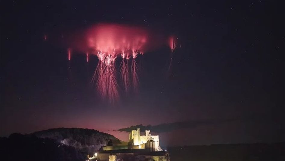 ما طبيعة الأضواء الحمراء في السماء.. قناديل البحر عائمة