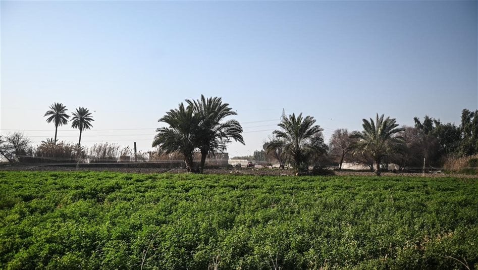 ذي قار وكركوك: استراتيجيات زراعية مبتكرة لمواجهة شح المياه والجفاف 