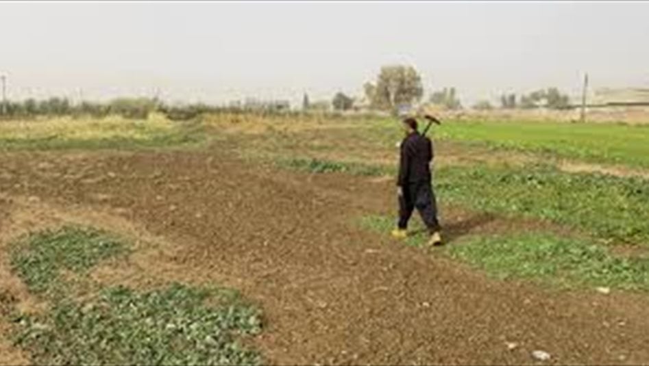 اعلام إيراني: العراق سيوفر أراضٍ لإيران لتقوم بالزراعة خارج حدودها 