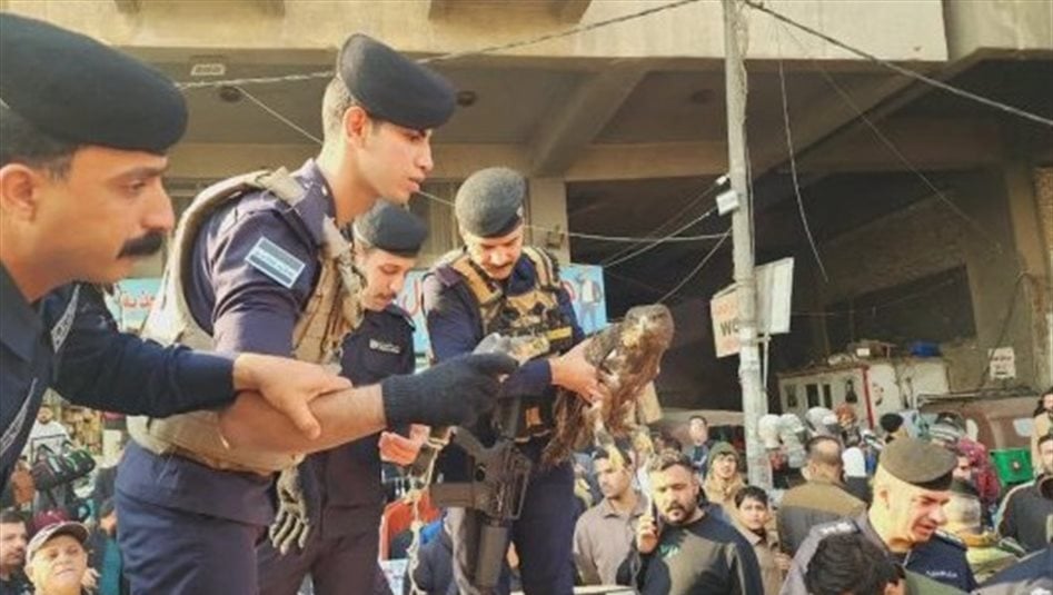 مع إنذارات رسمية.. حملة في بغداد لمصادرة الطيور والحيوانات المهددة بالانقراض 