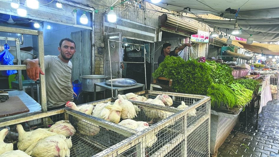 ابتداءً من منتصف كانون الثاني.. العراق يغلق أبواب الاستيراد أمام الدواجن لهذا السبب 