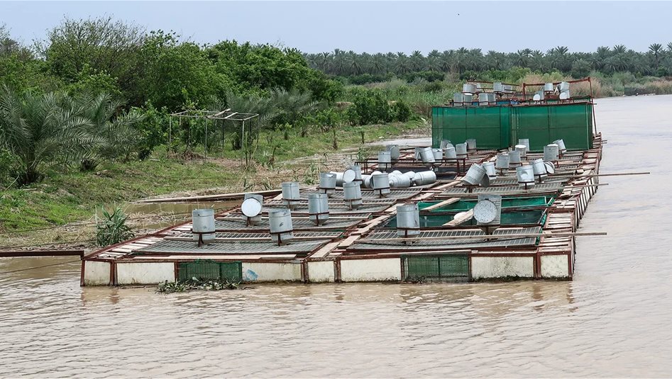 بينها الأنبار.. الموارد المائية تعلن خلو 3 محافظات من بحيرات الأسماك المتجاوزة