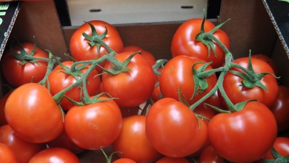 العراق يستعد لاصدار قرار يمنع دخول الطماطم ومقطعات الدجاج 