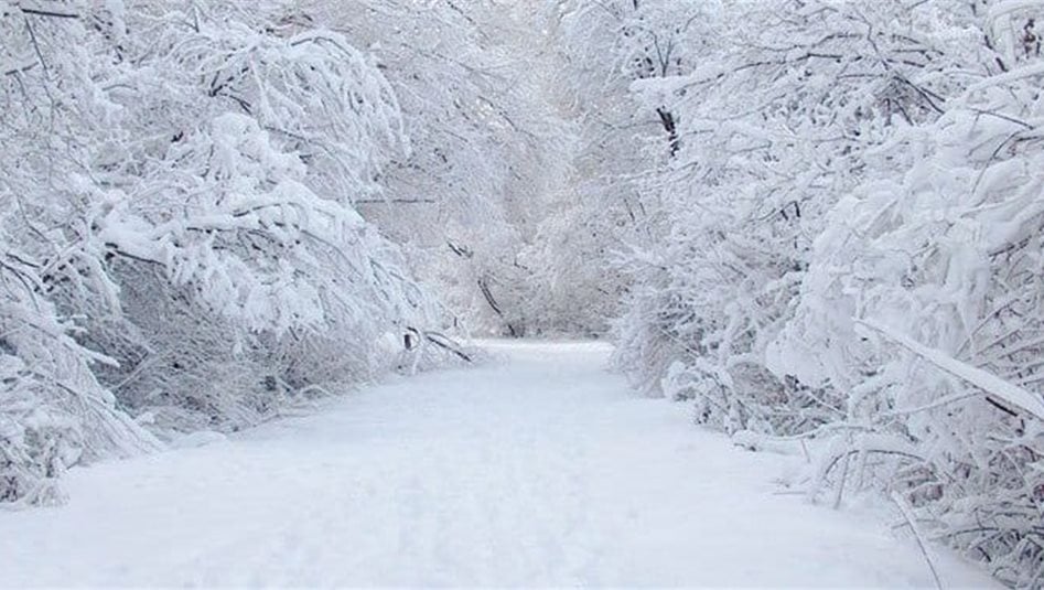 ‏العراق قد يشهد يومًا هو الأشد برودة منذ 2008.. الثلوج ستغزو الوسط والغرب