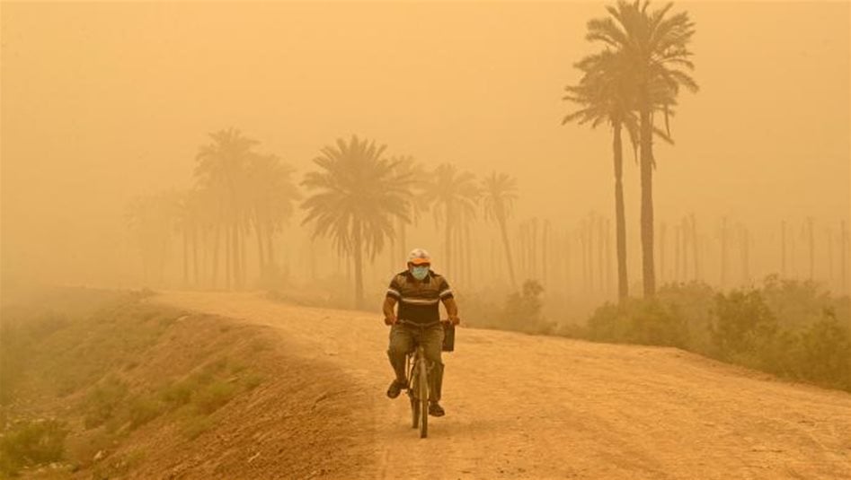 بمياه المبازل.. العراق يواجه العواصف الترابية بحزام أخضر يمتد لـ5 سنوات 