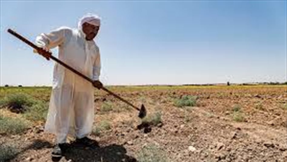 مرصد اقتصادي: 54% من الأراضي الصالحة للزراعة في العراق quot;متروكةquot; 