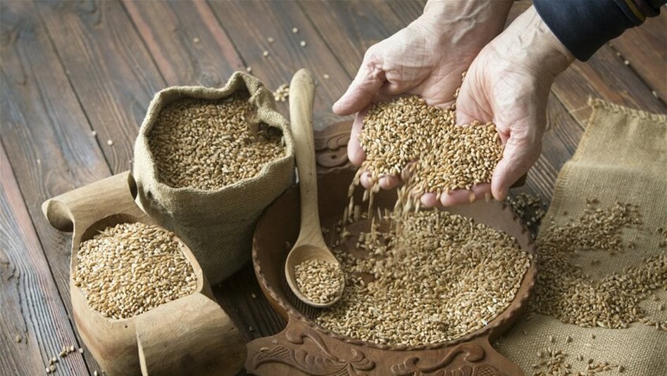 اسعار القمح تواصل الارتفاع بالأسواق العالمية