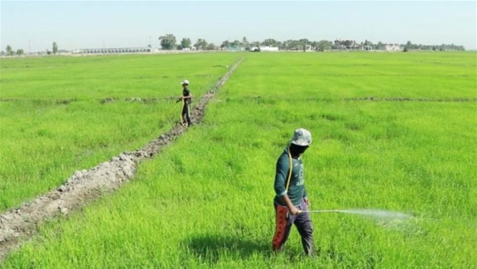 بسبب "الضائقة المالية".. الزراعة تعلن توقف مشاريع مكافحة التصحر وتثبيت الكثبان الرملية