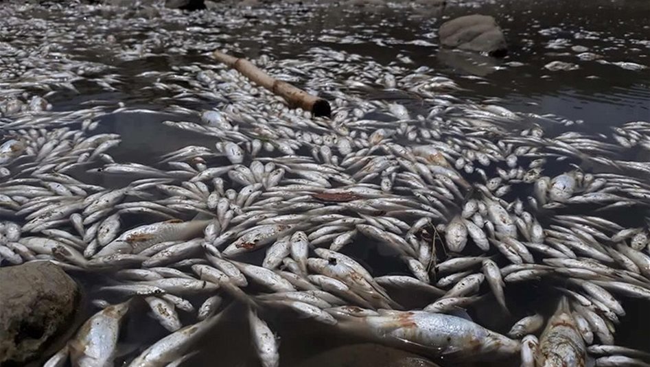 بعد تلوث المياه.. تعويضات للمتضررين 