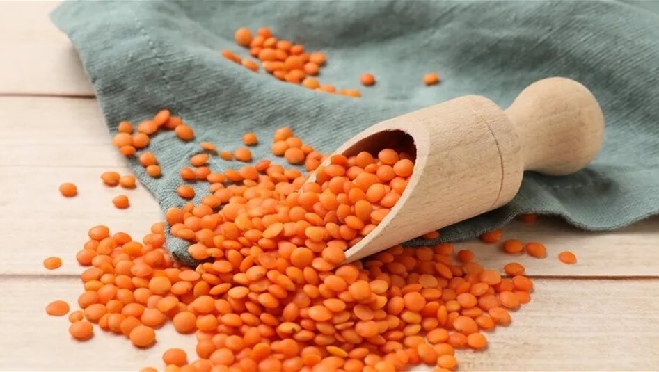العدس… غذاء بسيط بفوائد صحية كبيرة
