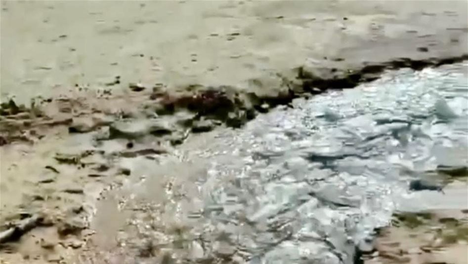 الموارد المائية تعلن ارتفاع مناسيب الخزانات الجوفية وإعادة تدفق الينابيع في نينوى 