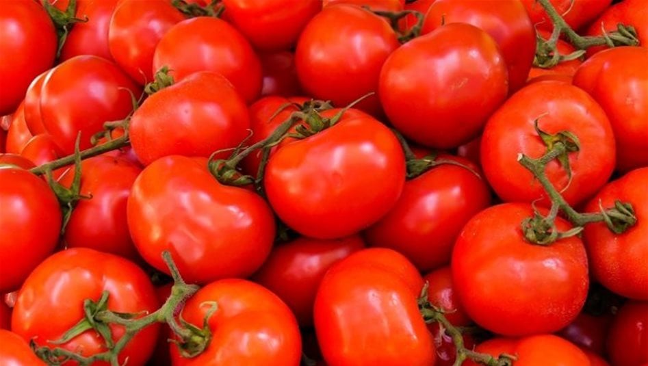 اجتماع حكومي بشأن اسعار الطماطم في العراق 