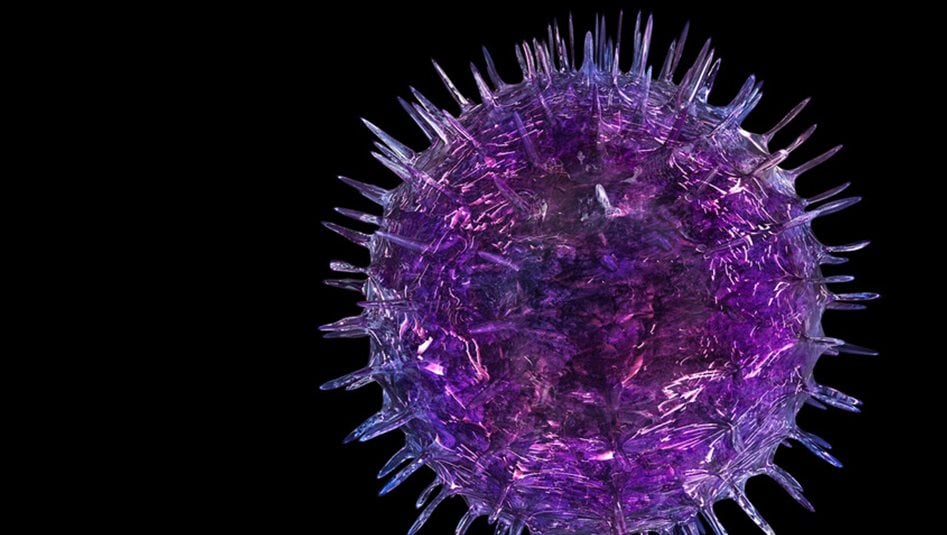 يصيب 95% من البشر.. تطوير أجسام مضادة لإيقاف فيروس يرتبط بالسرطان