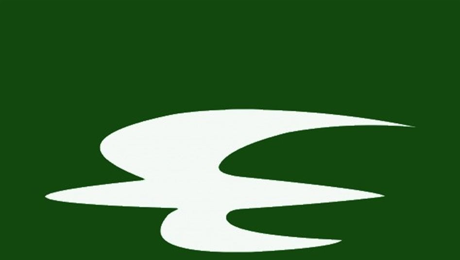 بالصور.. موظفو الخطوط الجوية يتظاهرون للمطالبة بحقوقهم ومحاسبة الفاسدين 