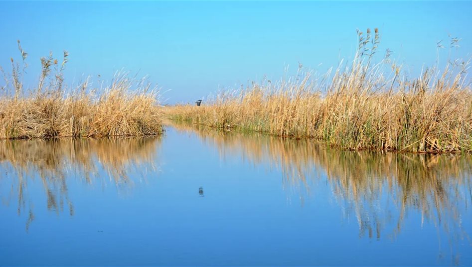 وداعاً للجفاف.. وفرة الأمطار وإطلاقات تركيا تملأ سدود العراق وتنقذ quot;شط العربquot; 