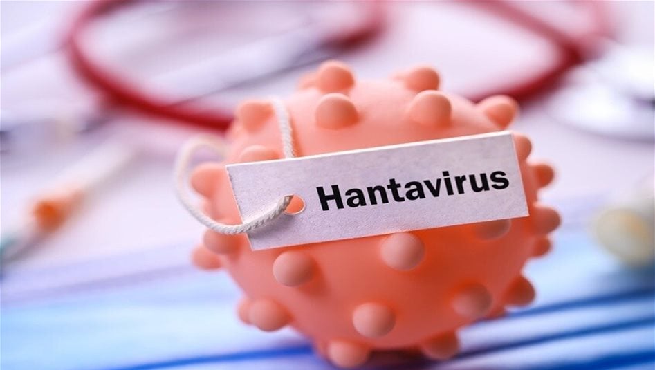 Hanta Virüsü Enfeksiyonunun Belirtileri