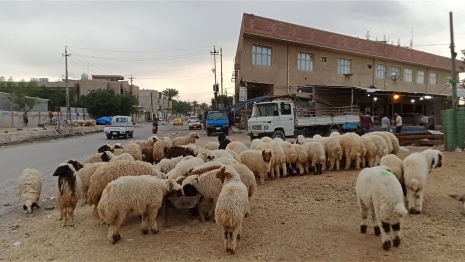 Bağdat’ta kuralsız kesime karşı yeni önlemler